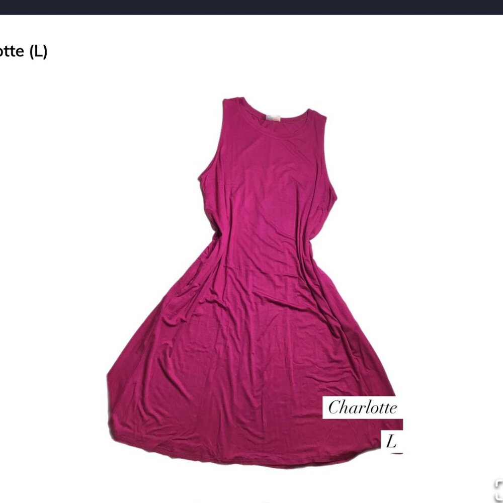 Charlotte Tank Swing Dress Lularoe